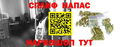 PSILOCYBIN Севастополь