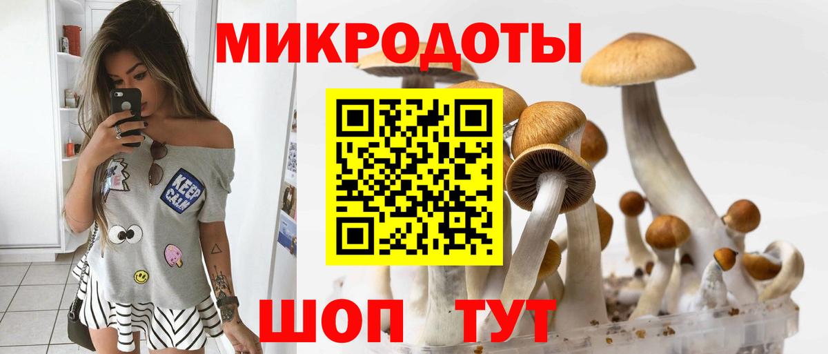 Курган  Псилоцибиновые грибы Psilocybe  Вход с VPN 