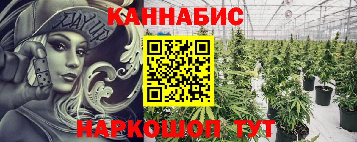 МАРИХУАНА гибрид Курган